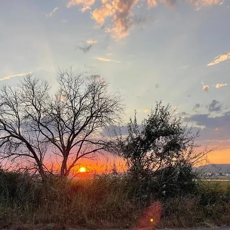 シャレー Le Sunset *